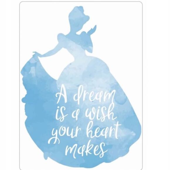 COPY - Cinderella Quote Magnet - Picture 4 of 4
